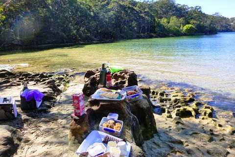 Half-Day Sydney Middle Harbour Guided Kayaking Eco Tour - Grafton Accommodation 5