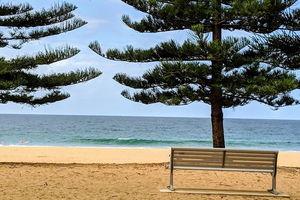 Manly & Sydney's Northern Beaches with 'Personalised Sydney Tours'