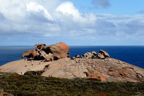 Kangaroo Island Personal Group Tours - Grafton Accommodation 5
