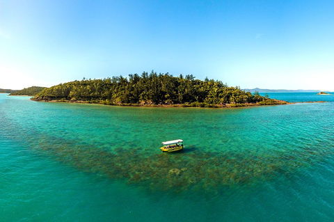 Airlie Beach Glass Bottom Boat Tour - Grafton Accommodation 3