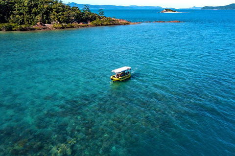 Airlie Beach Glass Bottom Boat Tour - Grafton Accommodation 4