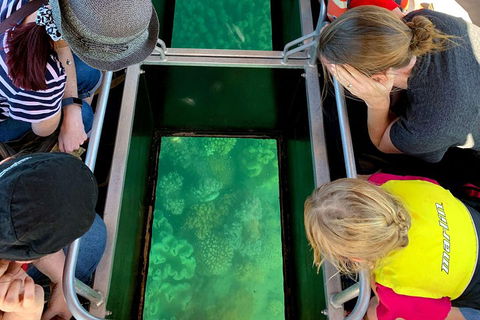 Airlie Beach Glass Bottom Boat Tour - Grafton Accommodation 5