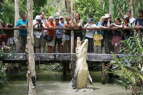 Hartley's Crocodile Adventure Half-Day Tour - Grafton Accommodation 1