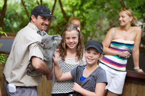 Hartley's Crocodile Adventure Half-Day Tour - Grafton Accommodation 3