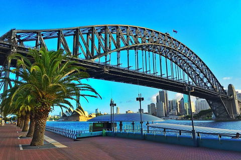 Sydney Half Day Tour With A Local: 100% Personalized & Private â˜…â˜…â˜…â˜…â˜… - Grafton Accommodation 1