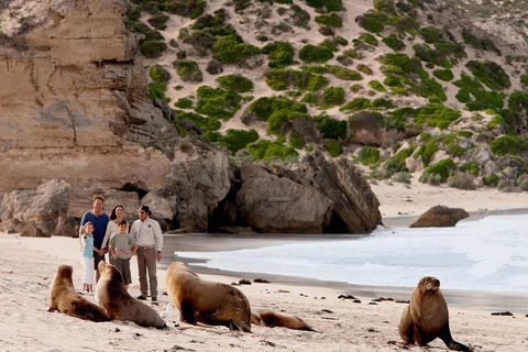 Kangaroo Island Scenic Trail Tour - Grafton Accommodation 5