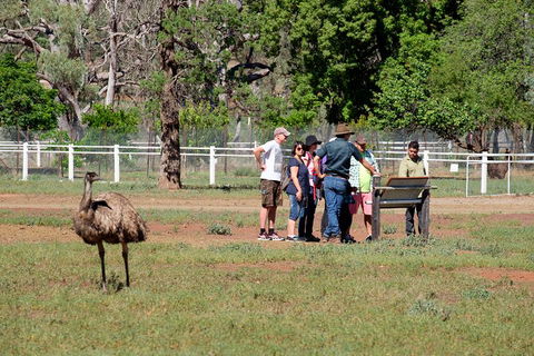 Yura Udnyu - Our Culture, Your Culture (Aboriginal Cultural Walk) - Grafton Accommodation 1