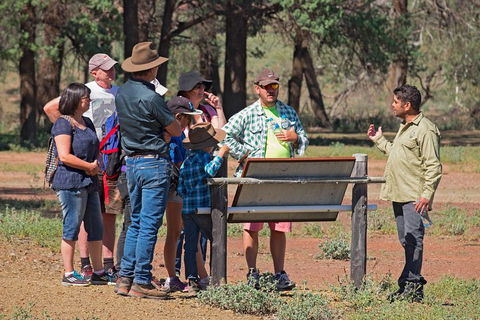 Yura Udnyu - Our Culture, Your Culture (Aboriginal Cultural Walk) - Grafton Accommodation 2