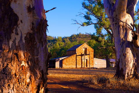 Yura Udnyu - Our Culture, Your Culture (Aboriginal Cultural Walk) - Grafton Accommodation 4