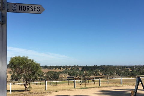 Legends & Champions Tour - Grafton Accommodation 5