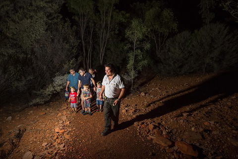 Alice Springs Desert Park Nocturnal Tour - Grafton Accommodation 0