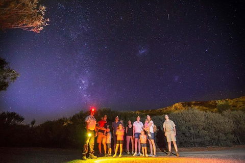 Alice Springs Desert Park Nocturnal Tour - Grafton Accommodation 2