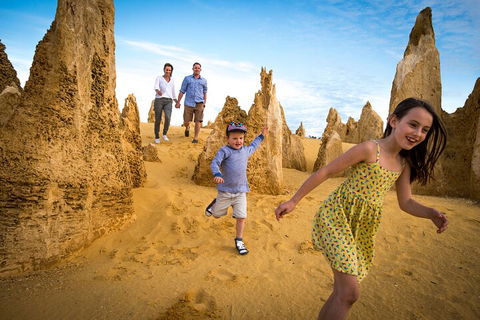 Full-Day Pinnacles Desert And Yanchep National Park Tour From Perth - Grafton Accommodation 0