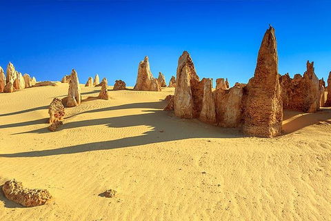 Full-Day Pinnacles Desert And Yanchep National Park Tour From Perth - Grafton Accommodation 2