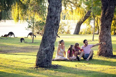 Full-Day Pinnacles Desert And Yanchep National Park Tour From Perth - Grafton Accommodation 3