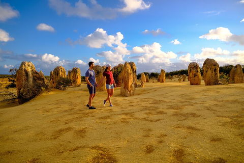 Full-Day Pinnacles Desert And Yanchep National Park Tour From Perth - Grafton Accommodation 4