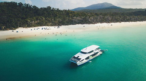 Whitehaven Beach And Daydream Island Cruise - Grafton Accommodation 1
