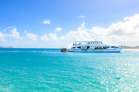 Whitehaven Beach And Daydream Island Cruise - Grafton Accommodation 2