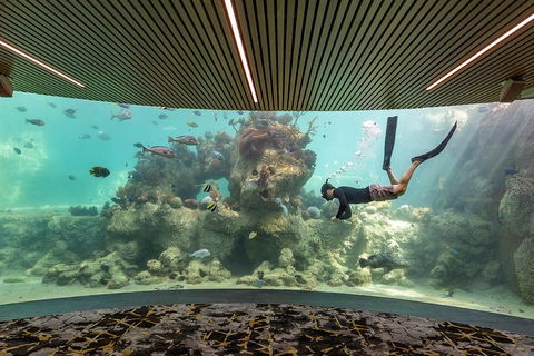 Whitehaven Beach And Daydream Island Cruise - Grafton Accommodation 4