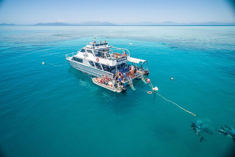 Ocean Freedom Great Barrier Reef Personal Luxury Snorkel & Dive Cruise, Cairns - Grafton Accommodation 0