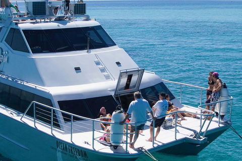 Ocean Freedom Great Barrier Reef Personal Luxury Snorkel & Dive Cruise, Cairns - Grafton Accommodation 1