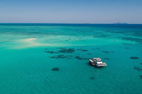 Ocean Freedom Great Barrier Reef Personal Luxury Snorkel & Dive Cruise, Cairns - Grafton Accommodation 2
