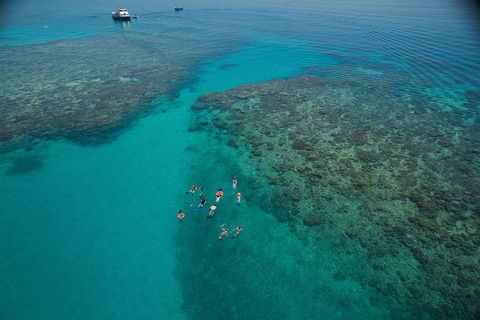 Ocean Freedom Great Barrier Reef Personal Luxury Snorkel & Dive Cruise, Cairns - Grafton Accommodation 3