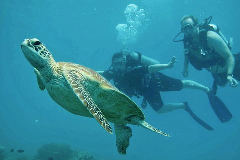 Ocean Freedom Great Barrier Reef Personal Luxury Snorkel & Dive Cruise, Cairns - Grafton Accommodation 4