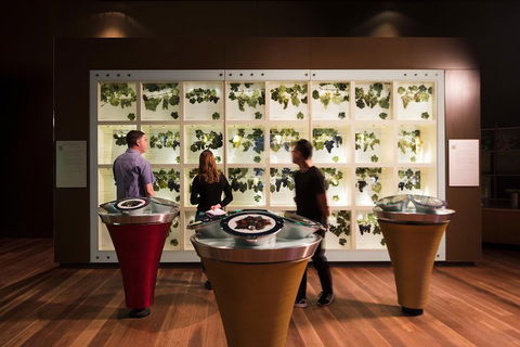 Australian Wine Discovery Tour Ticket - Grafton Accommodation 3