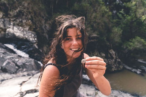 Springbrook AndTamborine Rainforest Tour Incl Natural Bridge And Glow Worm Cave - Grafton Accommodation 1