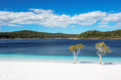 All-Inclusive Fraser Island Day Tour - Grafton Accommodation 3