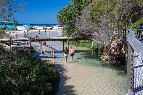 All-Inclusive Fraser Island Day Tour - Grafton Accommodation 4