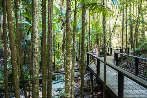 All-Inclusive Fraser Island Day Tour - Grafton Accommodation 5
