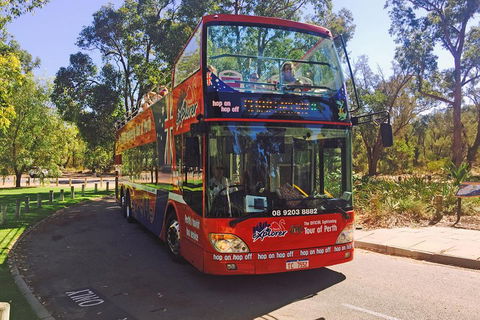 Perth Hop-On Hop-Off Bus Tour - Grafton Accommodation 4