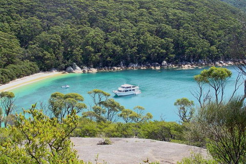 Wilsons Promontory Full Day Cruise - Grafton Accommodation 2