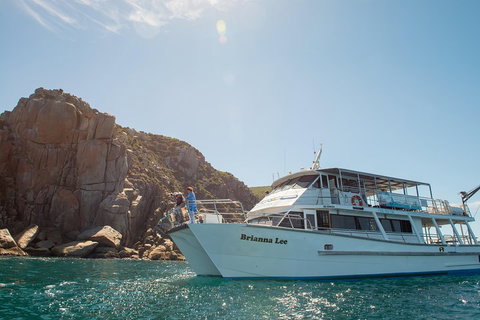 Wilsons Promontory Full Day Cruise - Grafton Accommodation 3