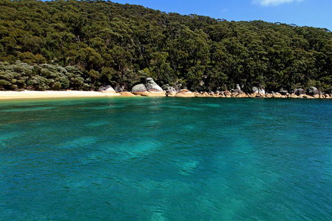 Wilsons Promontory Full Day Cruise - Grafton Accommodation 4