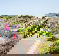 Margaret River Coastal and Wildlife Eco Trip from Busselton or Dunsborough - Grafton Accommodation